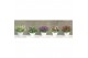 Buddleja davidii butterfly candy mix mixlaag 