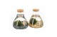 Arrangementen waterplanten 90526: Marimo moss ball 