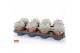 Echeveria lilacina SuPure® pearls 8gts 