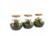 Arrangementen kamerplanten 90365: terrarium 