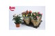 Rosa beau monde mix gemengd 