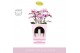 Phalaenopsis multiflora roze Bellissimo Angelo in Molise White Aquo Gi 