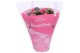 Kalanchoe rosalina don nando in roze hoes 