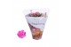 Kalanchoe rosalina roze royale 