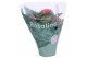 Kalanchoe rosalina roze don nando 