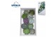 Echeveria snij Echeveria Mix (wincx) Cutfl (10spc.) 12 