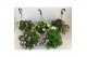 Hanging baskets hangplanten MIX KAR Hanging Basket Perkgoedmix 