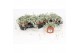 Dichondra silver falls 