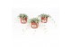 Dichondra silver falls 