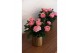 Rosa kordana grande adele roze 