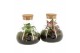 Arrangementen kamerplanten 90468: Terrarium 