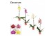Phalaenopsis mix 1 tak, 9+ bloem - 75cm - Decorum 