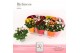 Rosa amorosa mix dolcamore metallic 