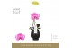 Phalaenopsis Singolo - Victorio - 1 bloem - Abruzzo Black Aquo 