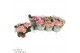 Hydrangea sarena Roze 3-5 Bloem 