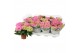 Hydrangea sarena Roze 3-5 Bloem 