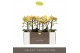 Phalaenopsis multiflora geel Optimost Luna 2 spike 25 bl. 2 tak/plnt 5 