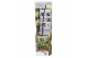 Malus domestica mini fruit mix 4 mix 