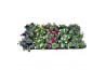 Petunia surfinia mixkar 5 kleuren Alpetunia® mixlaag