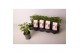 Pelargonium graveolens nova Anti-Mosquito 