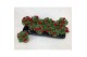 Calibrachoa minifamous dark red Calibrachoa MiniFamous® Uno Red 