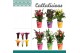 Zantedeschia mix + potcover 