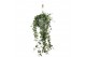 Hedera helix eva 20pp - 90-100cm Rank - Hangpot XXL 