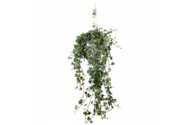 Hedera helix eva 20pp - 90-100cm Rank - Hangpot XXL