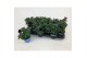 Petunia alpe tunia purple 