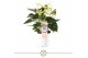 Anthurium andr. yellow champion vanilla 3 bl. 