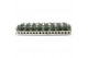 Lavandula angustifolia purple 6-pack 