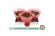 Kalanchoe blossfeldiana gevuld rubio red in sv.colours hoes 