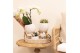 Phalaenopsis multiflora 1 tak mix in bowl pot white kolibri orchids 