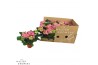 Hydrangea sarena Roze 3-5 Bloem - Zonder Hoes