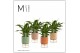 Spathiphyllum chopin 3+ bloem - Emma keramiek, Craft world 