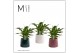 Spathiphyllum chopin 3+ bloem - Sophia keramiek, Luxury world 