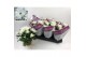 Chrysanthemum ind. sensation 