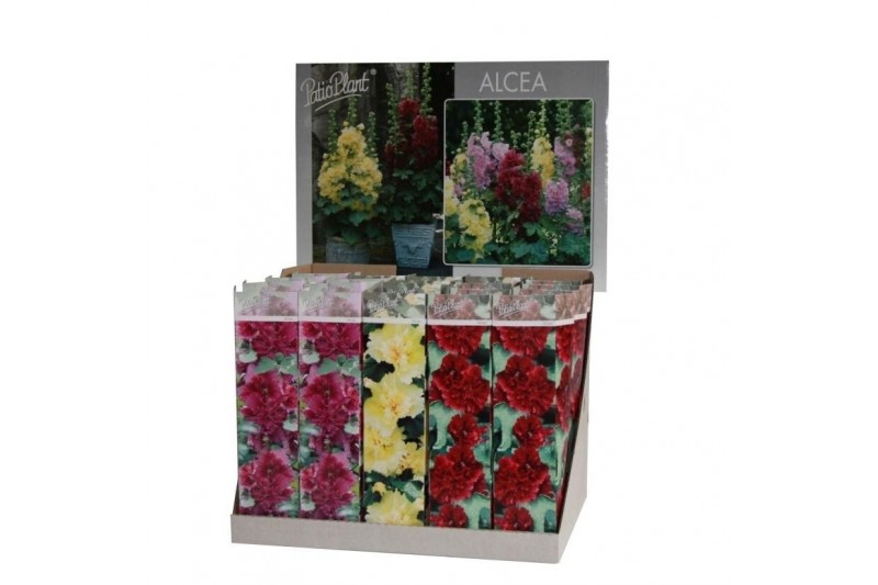 Alcea spring celebrities crimson mix 