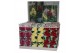 Alcea spring celebrities crimson mix 
