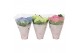 Hydrangea macr. mix Mix 3-5 Bloem - 3 Kleur 