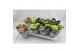 Hydrangea macr. mix Mix 3-5 Bloem - 3 Kleur 