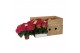 Hydrangea speedy red Rood 3-5 Bloem - Zonder Hoes 