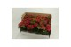 Hydrangea speedy red Rood 3-5 Bloem - Zonder Hoes 