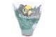Kalanchoe rosalina don amarillo geel 