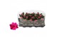 Kalanchoe blossfeldiana rosalina don victorio paars trayfolie 