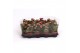 Kalanchoe blossfeldiana rosalina don victorio paars trayfolie 