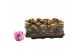 Kalanchoe rosalina don alano roze/wit in trayfolie 