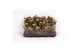 Kalanchoe rosalina don alano roze/wit in trayfolie 