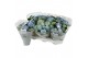 Hydrangea macr. magical revolution Blauw 5-6 Bloem 