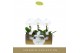 Phalaenopsis wit Singolo - Tosha - 1 bloem - Lazio White 